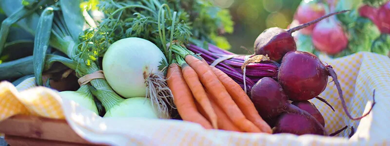 vegetables in basket