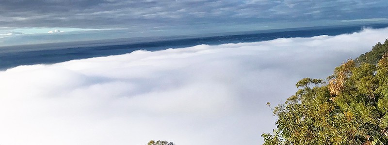 above the clouds looking over ocean