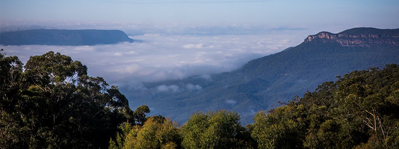 Mountains, forest and clouds