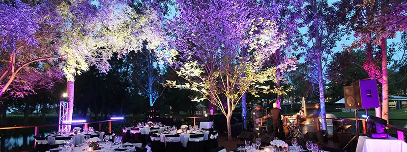 Illuminated Trees at an Outdoor Wedding Venue