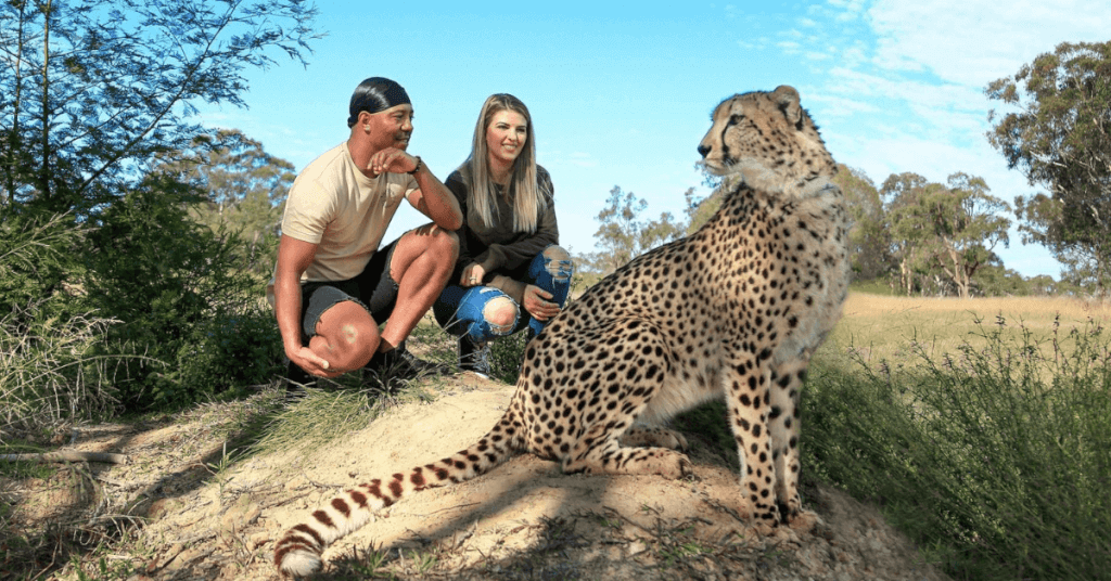 wild cat conservation centre