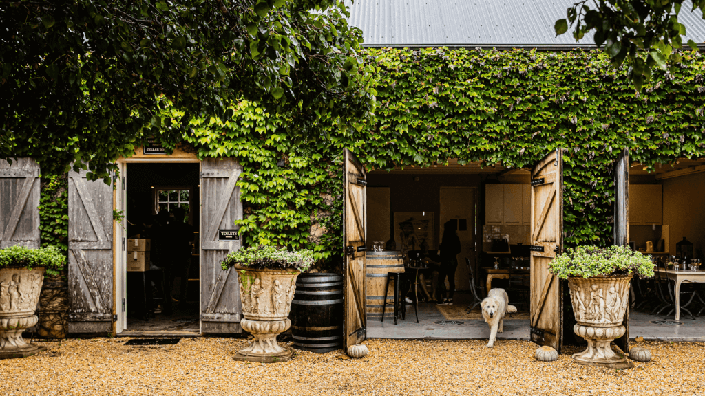 hunter valley cellar door