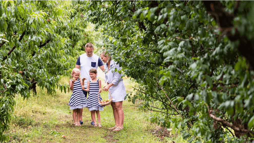 family fruit picking orchard