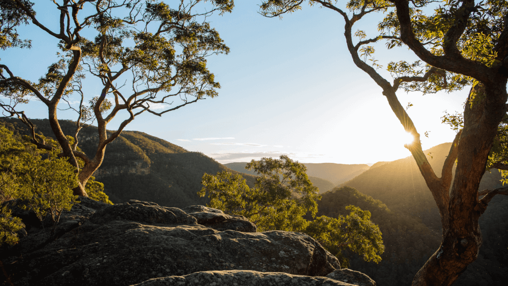 vale of avoca lookout