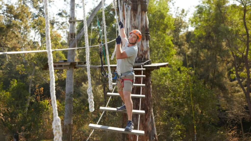 man-climbing-ropes-course-treetops