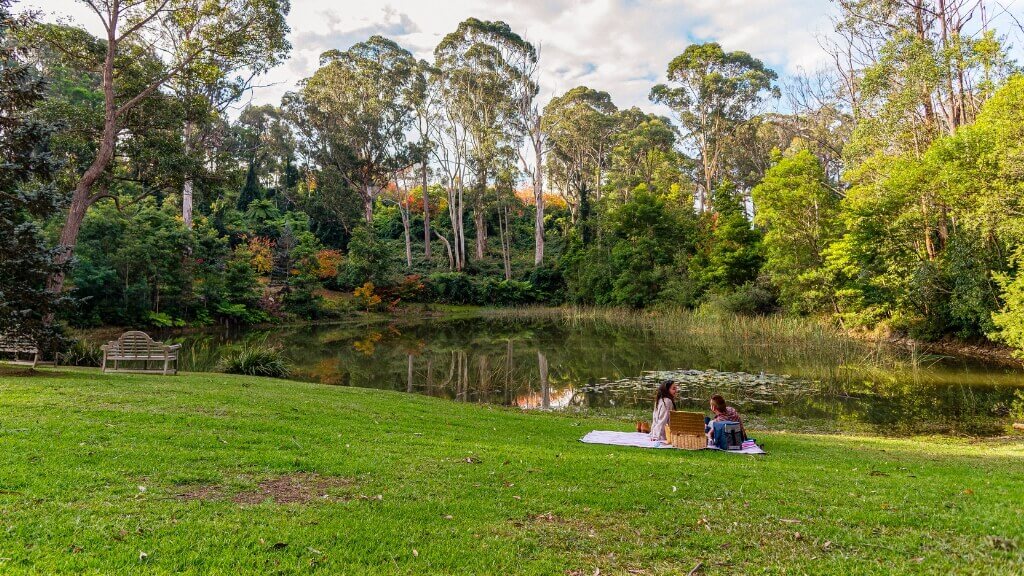 Couple Having Picnic Near Lake in Park