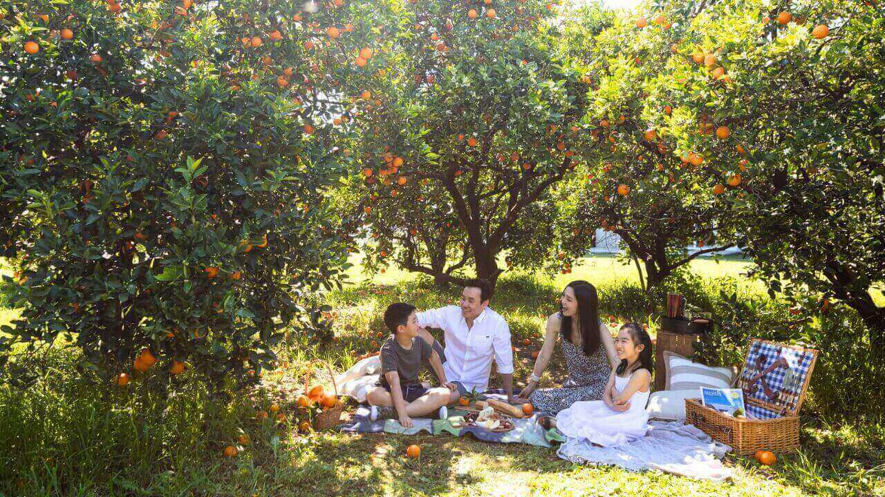 Family enjoying a picnic in Hawkesbury Valley